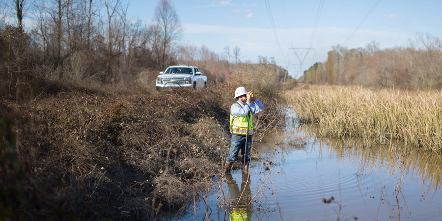 search vegetation management jobs