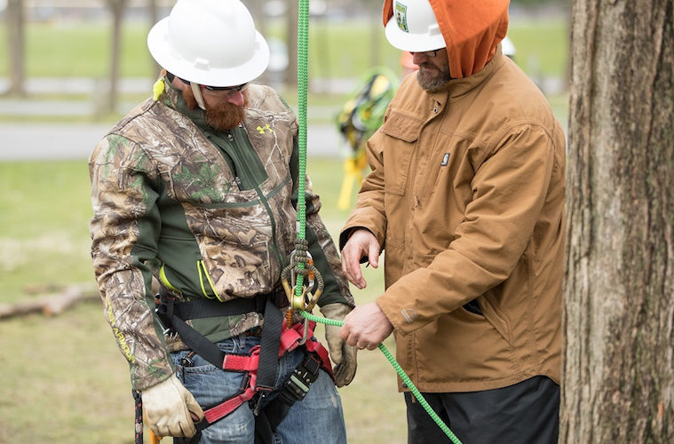 An Ounce of Prevention: The Role of Inspections in Accident and Injury Prevention