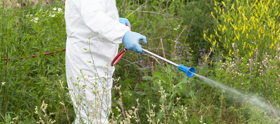 Herbicide Safety: The Importance of the Right Herbicide in the Right Place and Time
