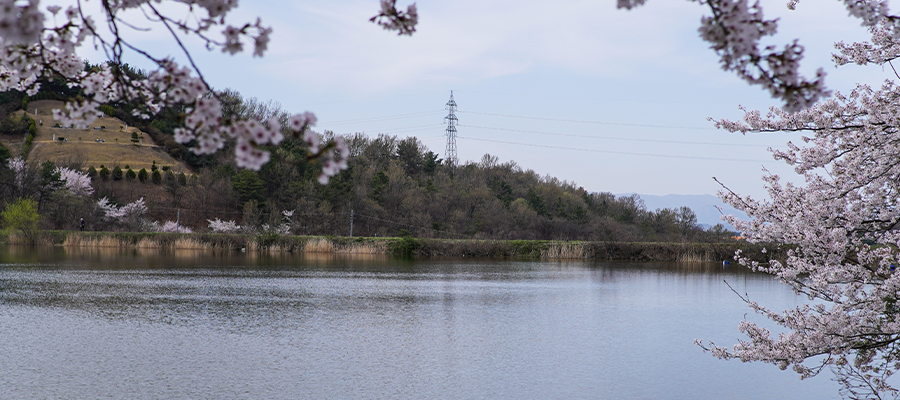 Spring Cleaning Your Vegetation Management Program