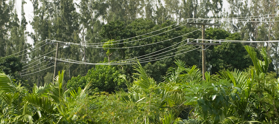 Case Study: From Backup Vendor to Trusted T1 Partner for Duke Energy Florida