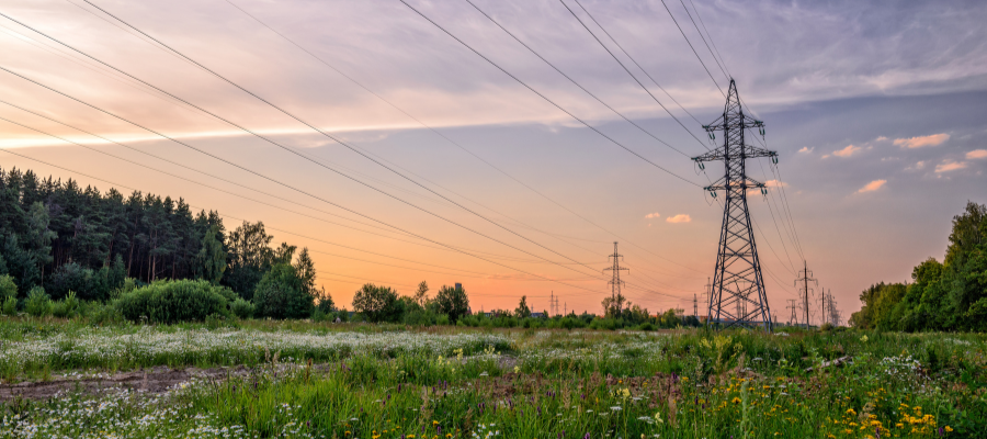 Holistic Resource Management and Integrated Vegetation Management