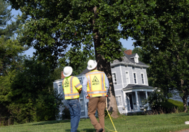 What Does Quality Really Cost in Utility Vegetation Management?
