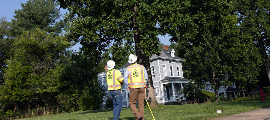 What Does Quality Really Cost in Utility Vegetation Management?